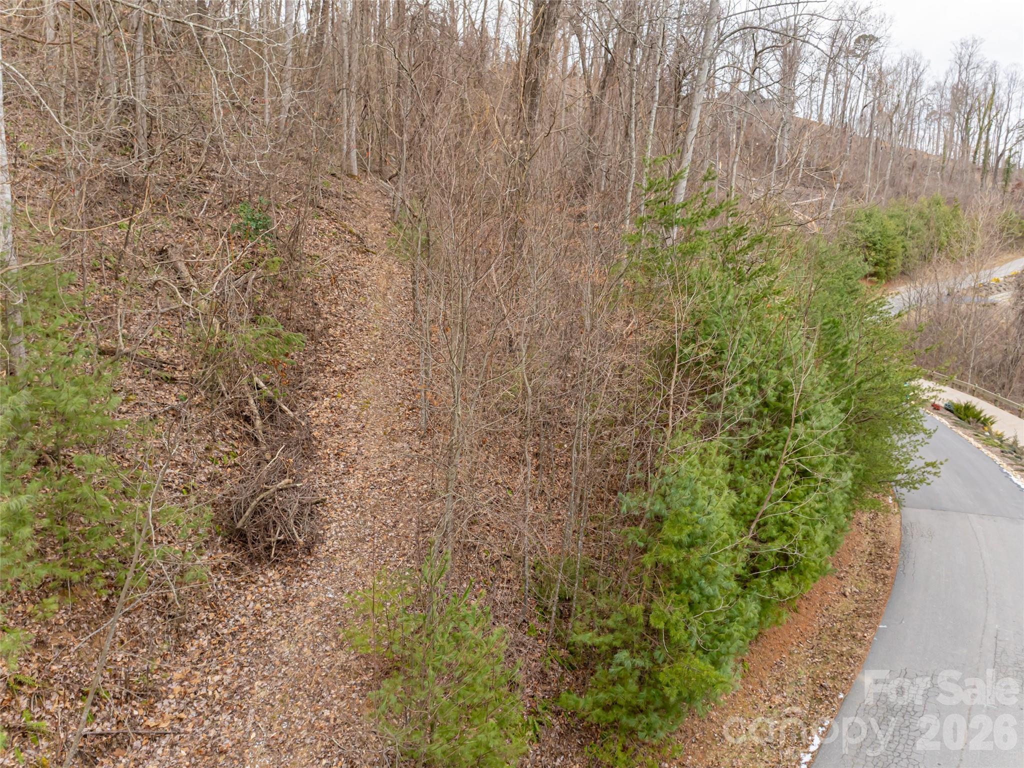 Town Mountain Preserve - Land