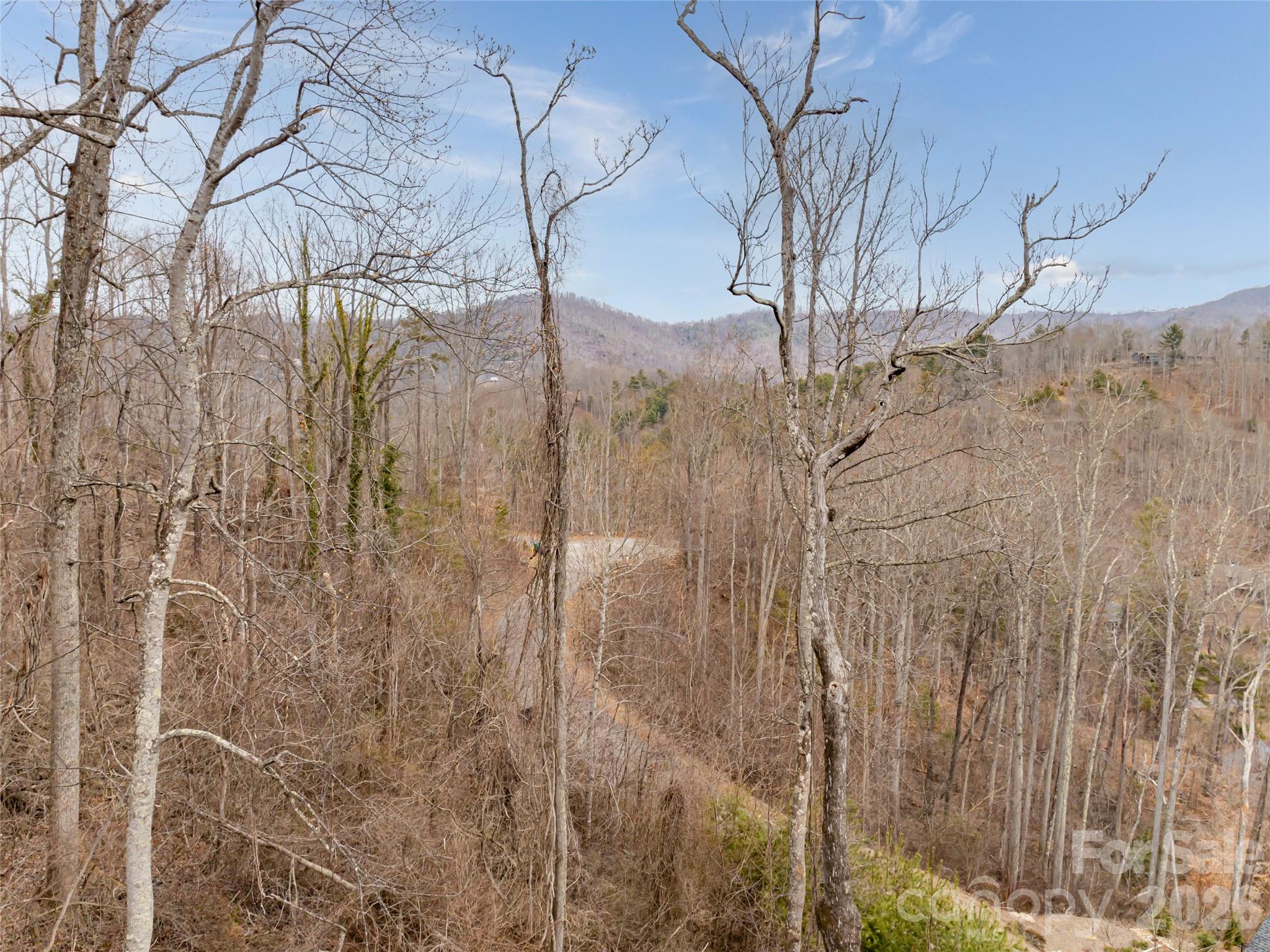 Town Mountain Preserve - Land