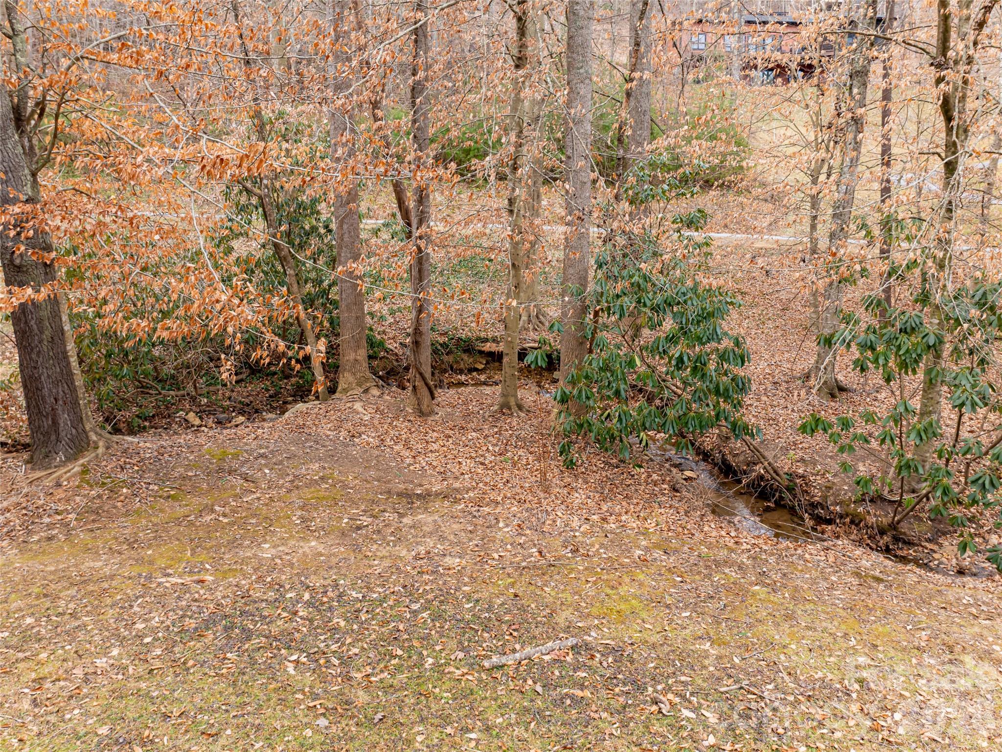 Town Mountain Preserve - Land