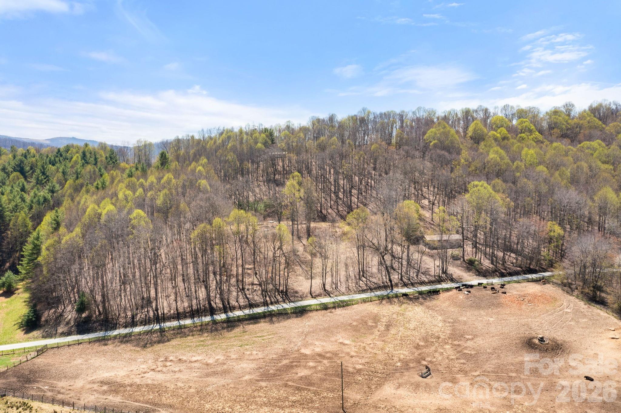 0 Walnut Branch Church Road