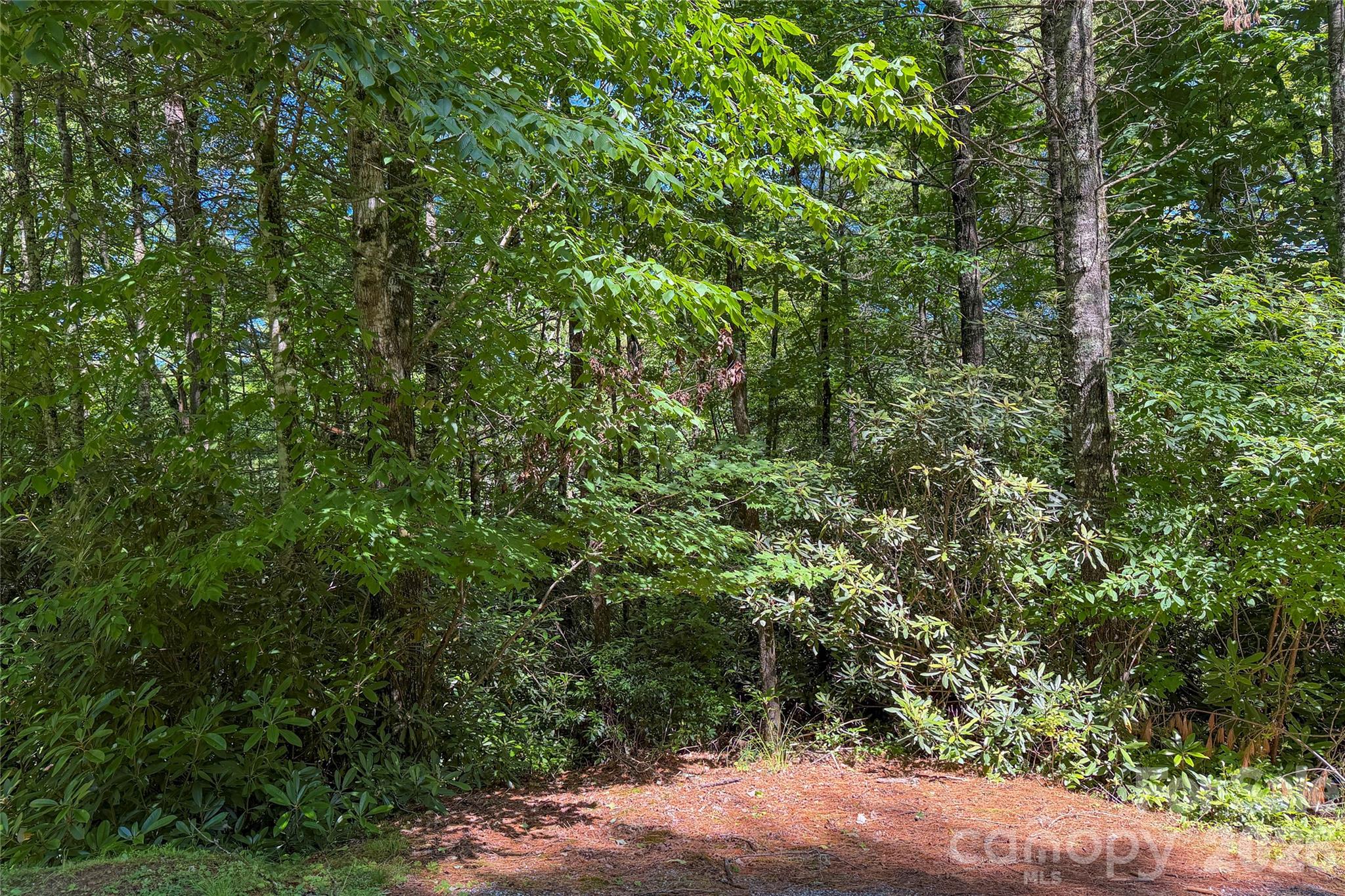 G24 Bailey Lane G24