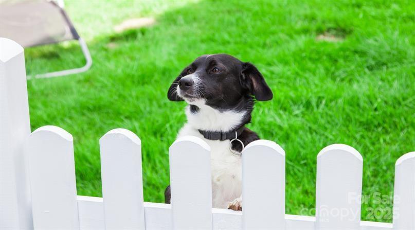 The Mills at Rocky River Townhomes - Residential