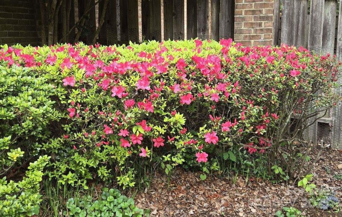 Morgans Glen - Residential