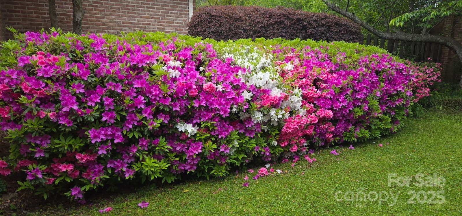 Morgans Glen - Residential