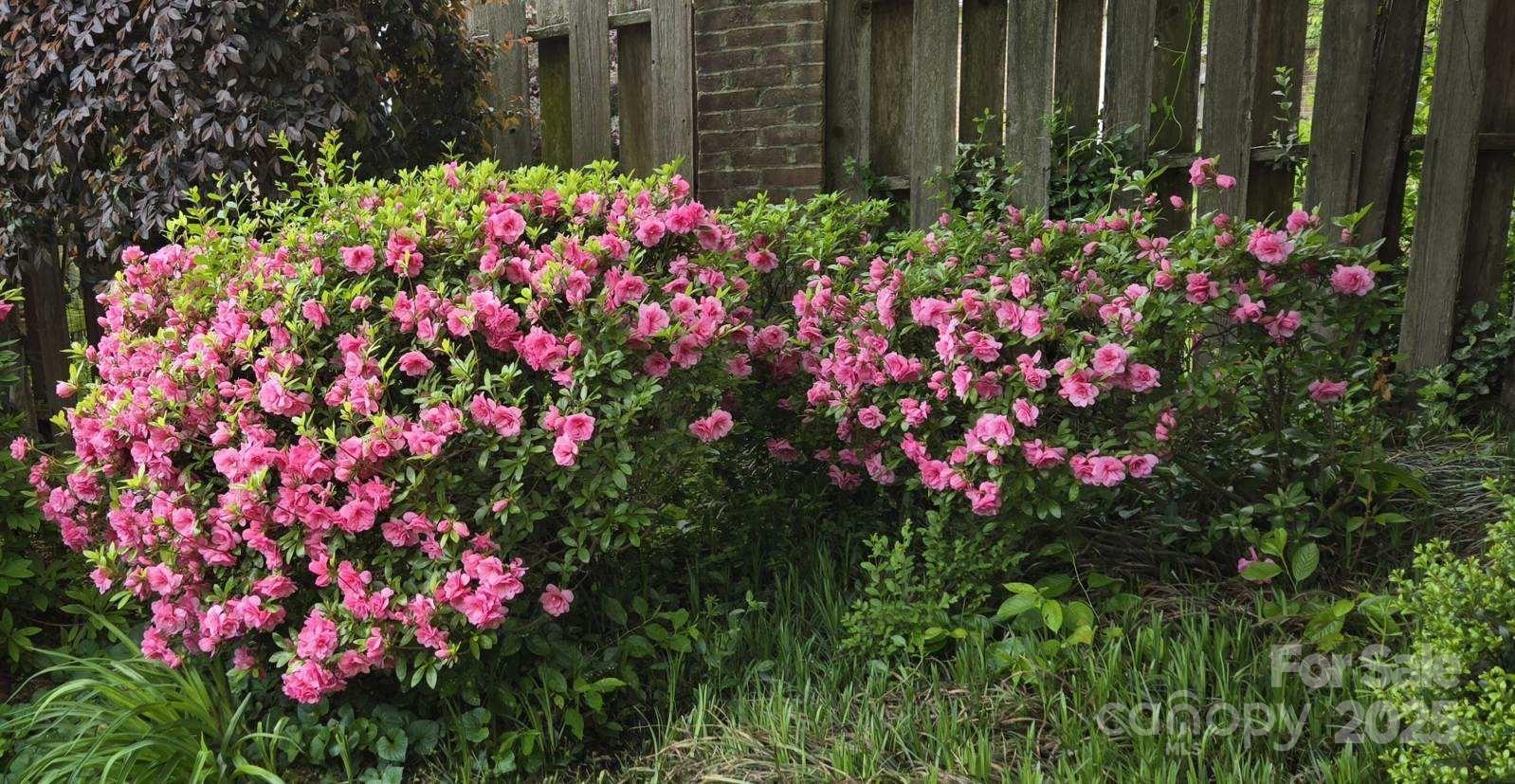 Morgans Glen - Residential