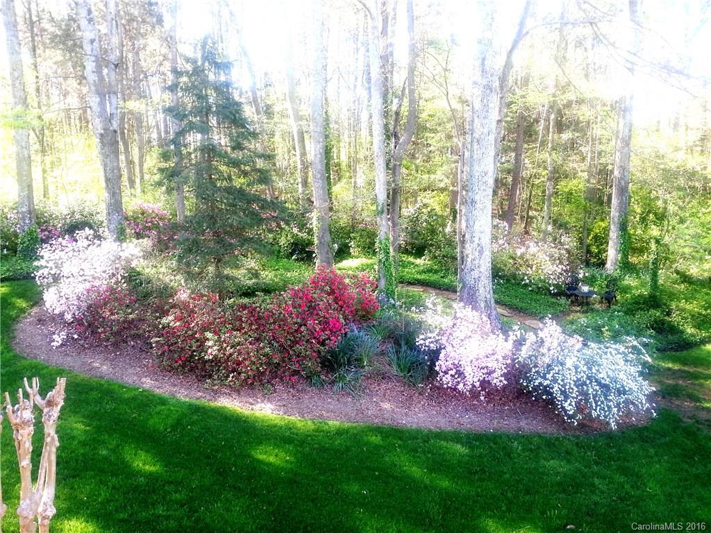 Wedgewood - Residential