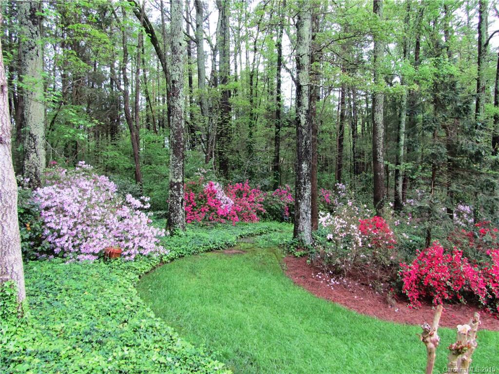 Wedgewood - Residential