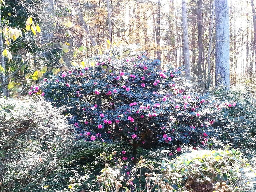 Wedgewood - Residential