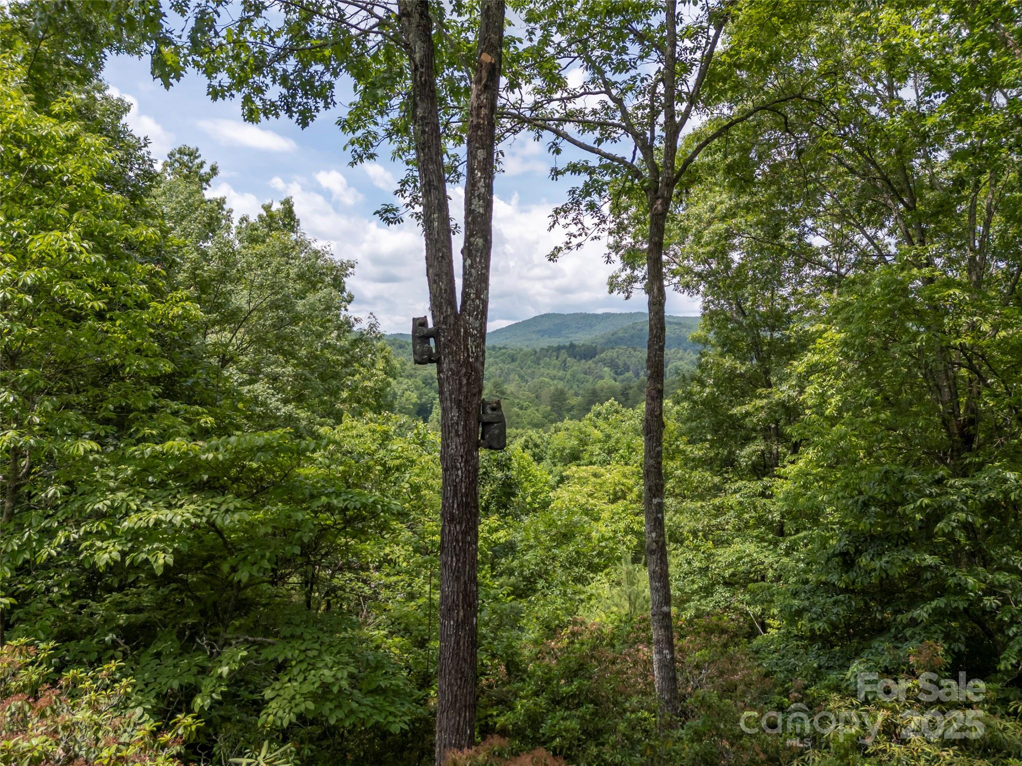 Champion Hills - Residential