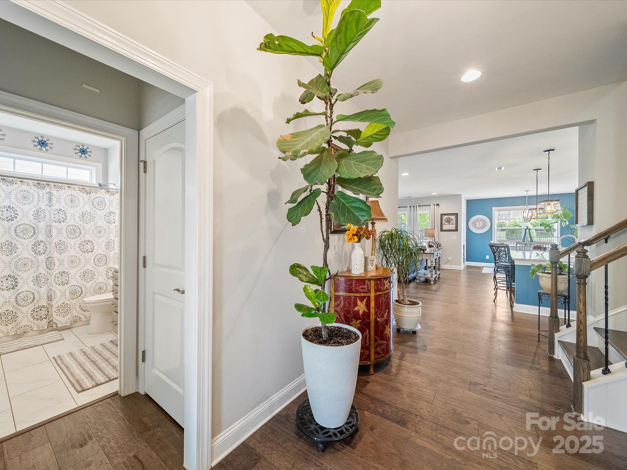 1149 Mayapple Way