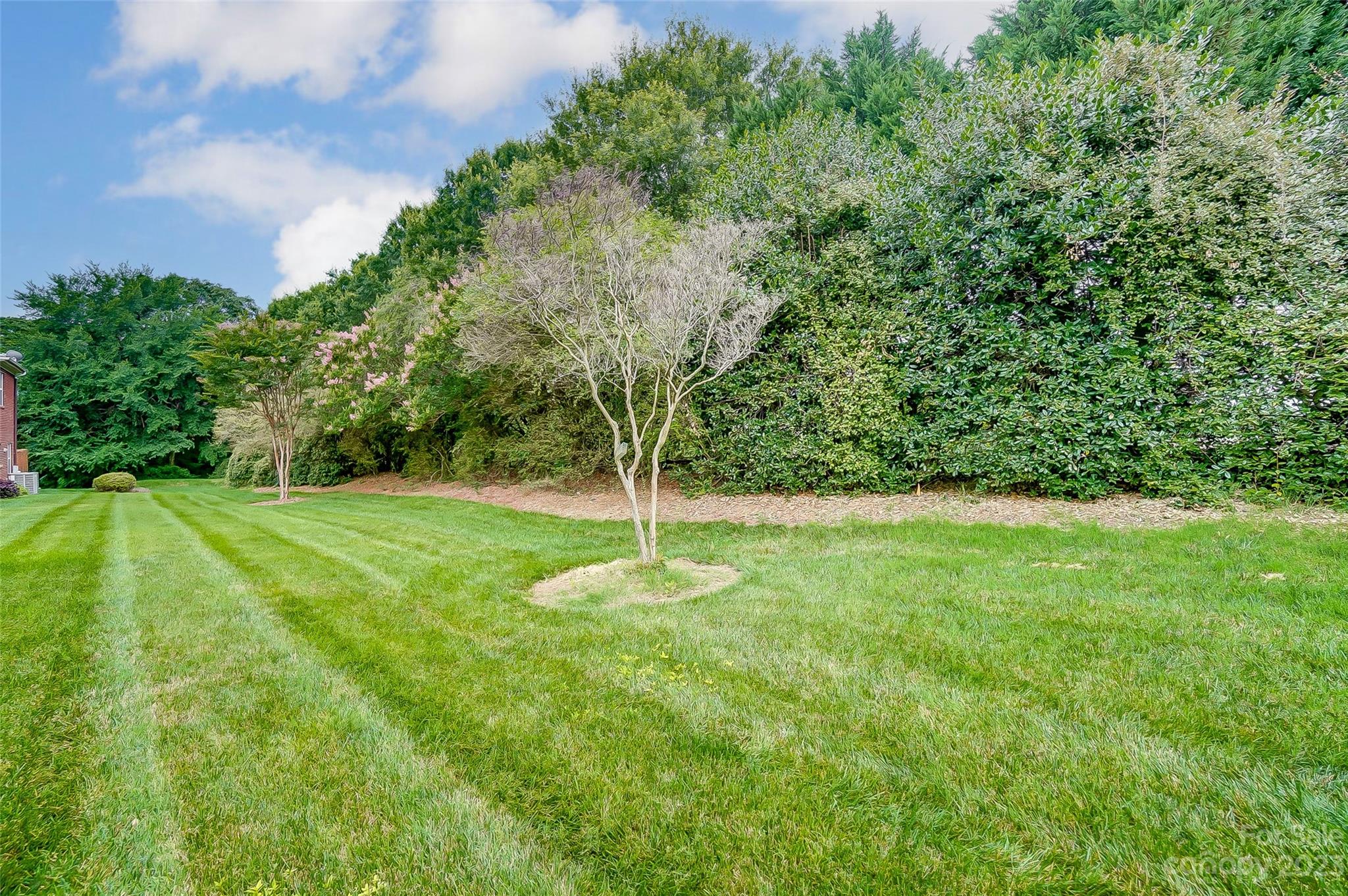 Bonnie Briar - Residential