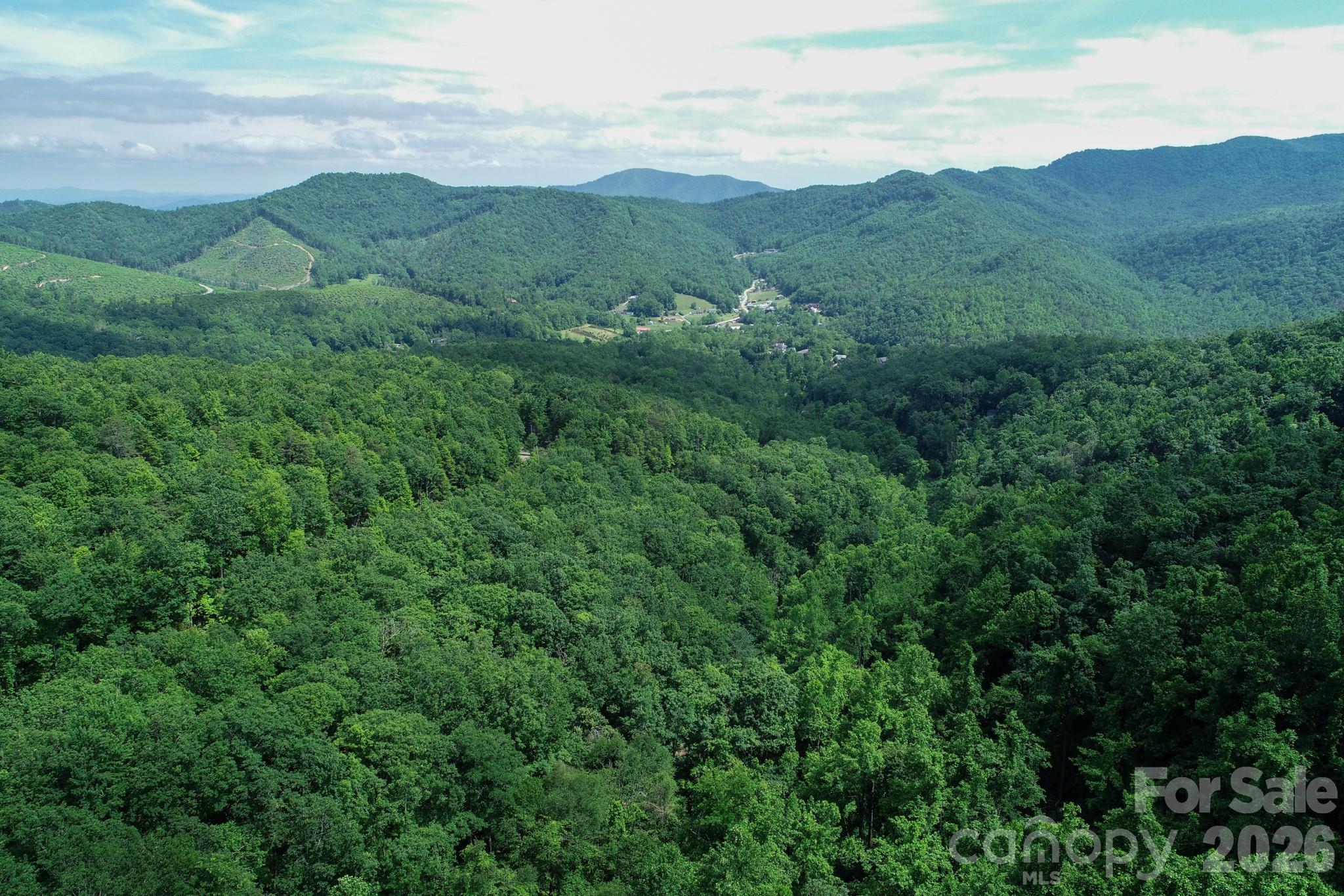1299 Pine Ridge Road