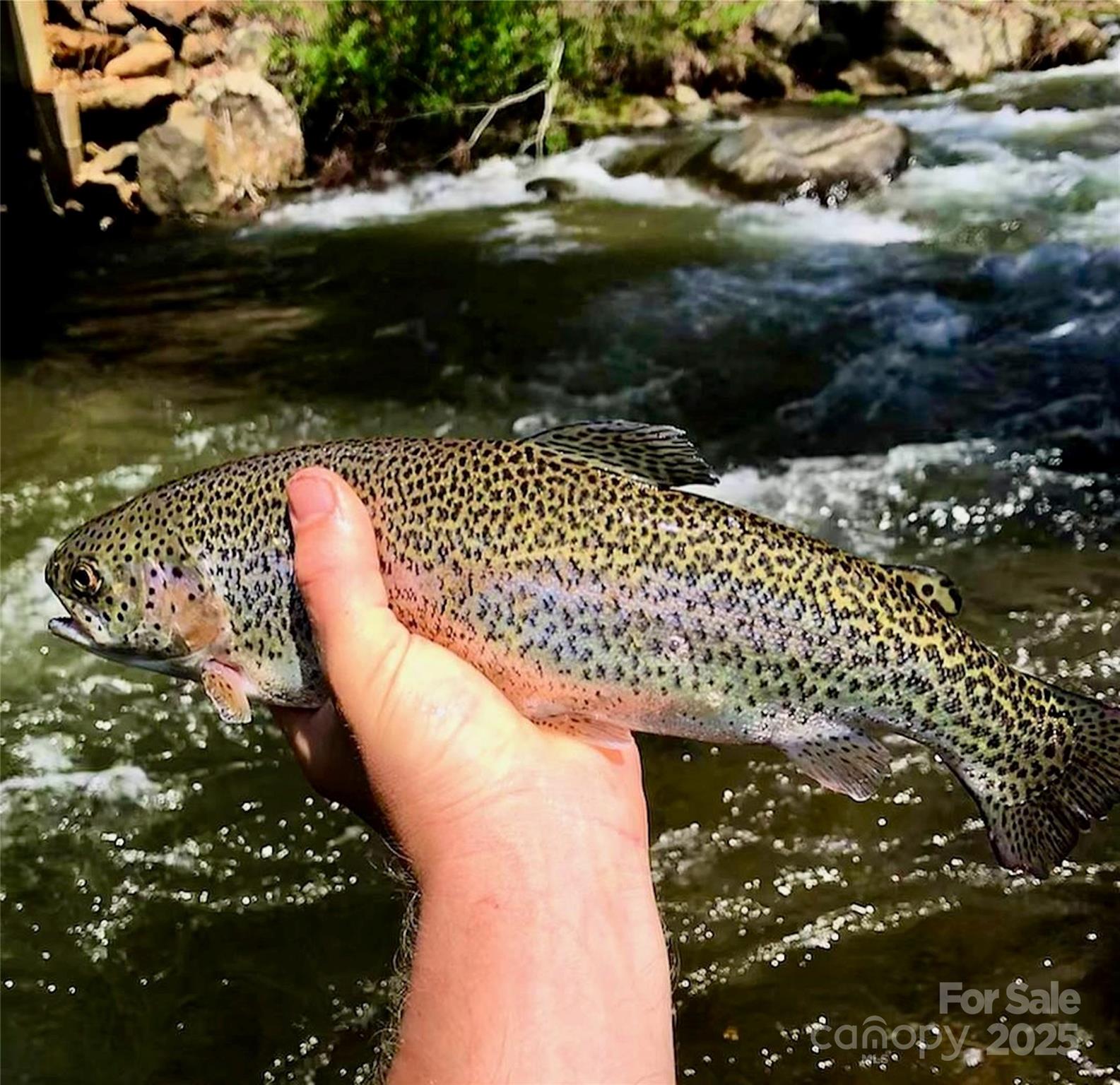 02 Highland River Parkway 2