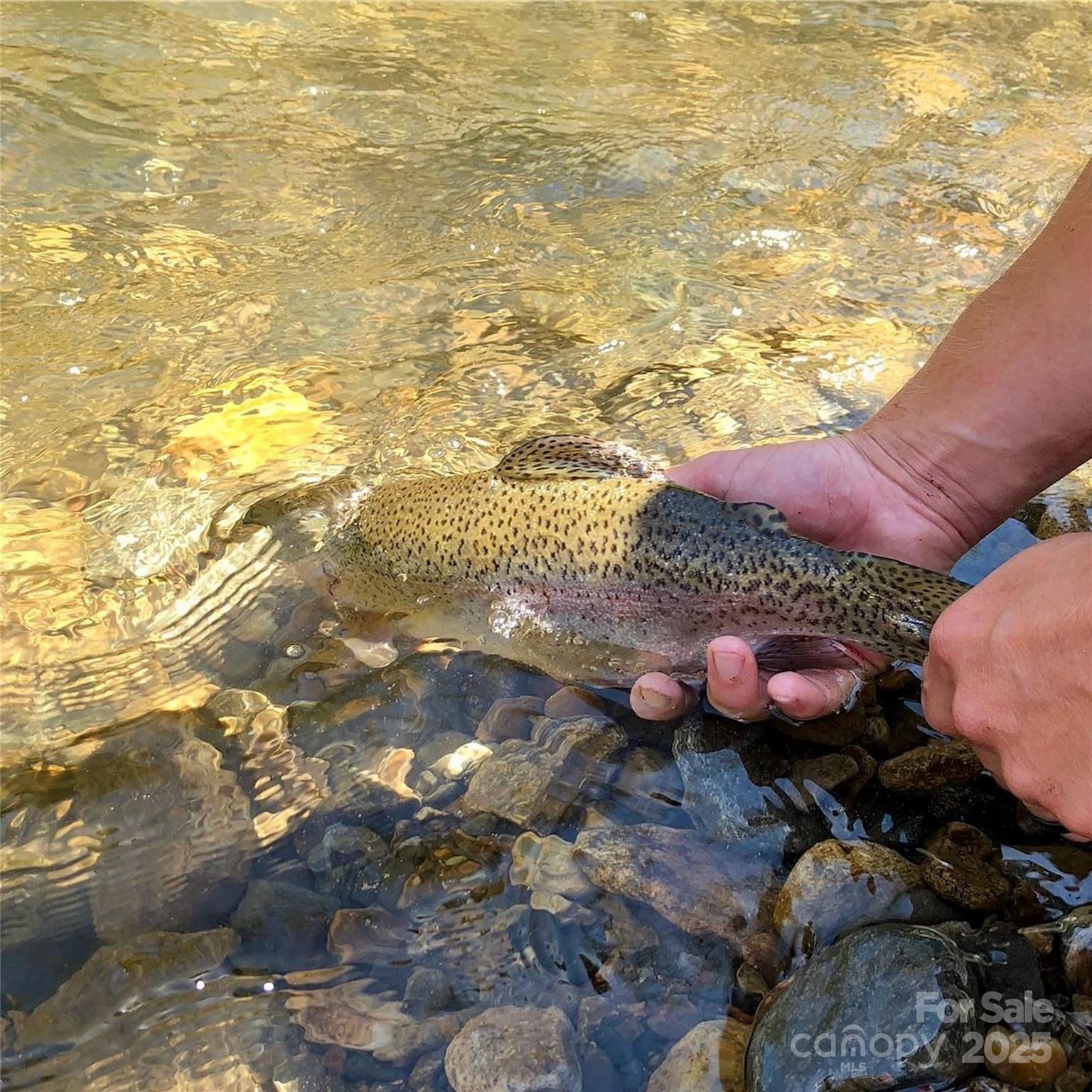 02 Highland River Parkway 2