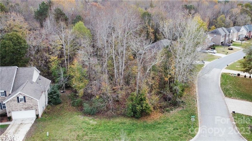 Welcome to Lake Wylie!  Located in the highly desired neighborhood of Mill Creek Falls is a raw corner lot just waiting for a new owner.  You will be able to stop by and check out what you can make this lot into, its priced to sell!  Mill Creek Falls offers plenty of amenities and this is the ONLY lot not built on or pinned for green space.  Swimming pools, walking trail, tennis court, clubhouse, playground and all in a highly rate school district.  This neighborhood is about one mile to the NC state line, and you'll pay York County property taxes.  Elementary and Middle School is about five minutes away, grocery stores are less than 3 minutes away.  All of this can be yours!