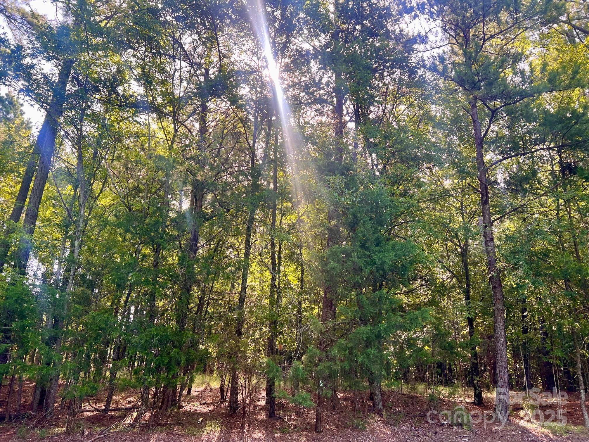 Allison Creek Estates - Land