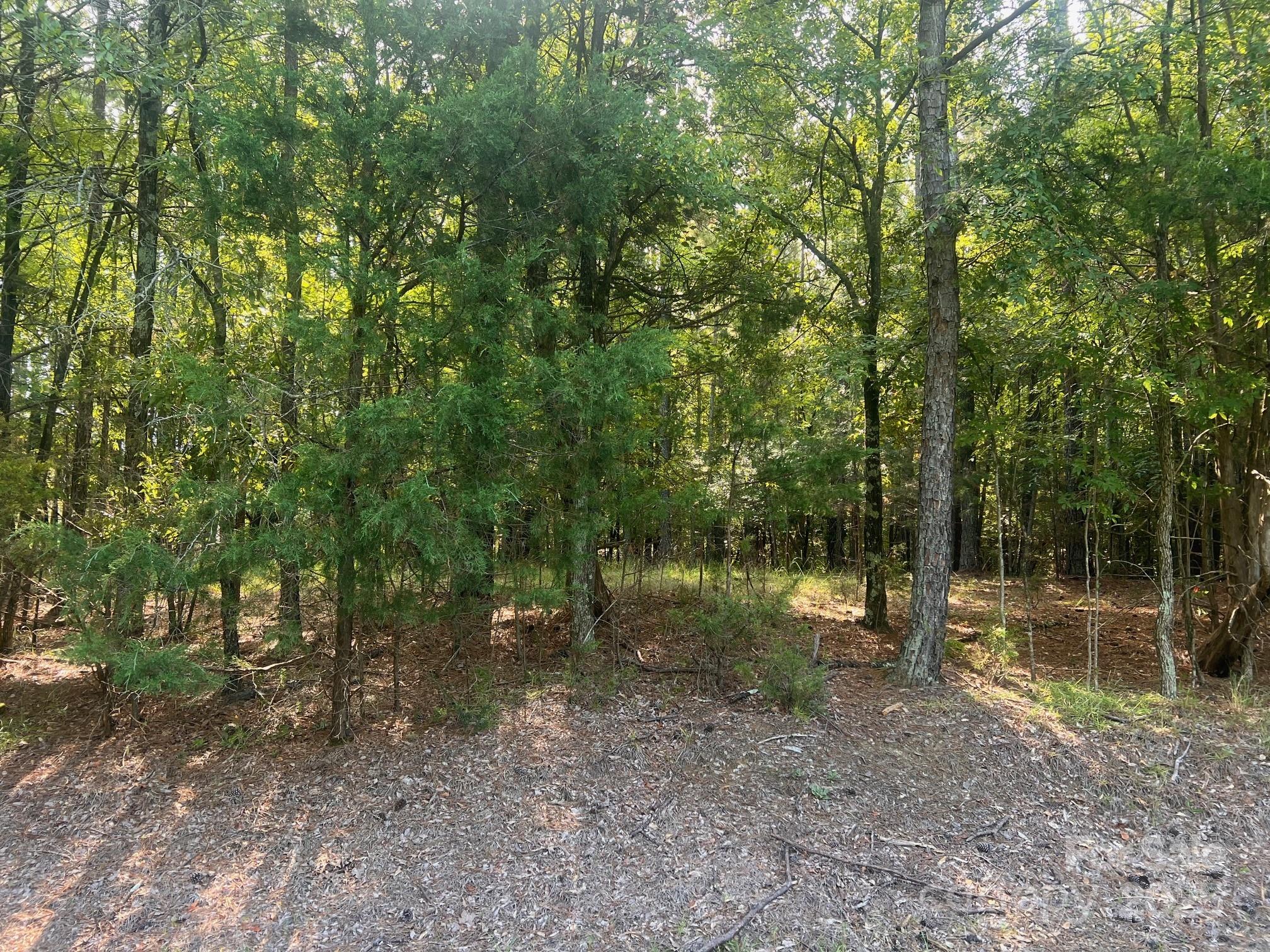 Allison Creek Estates - Land