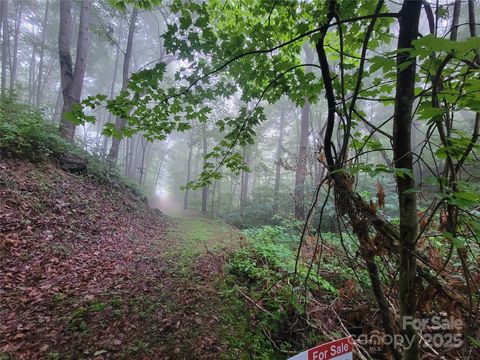 2100 Chambers Mountain Road Clyde NC 28721