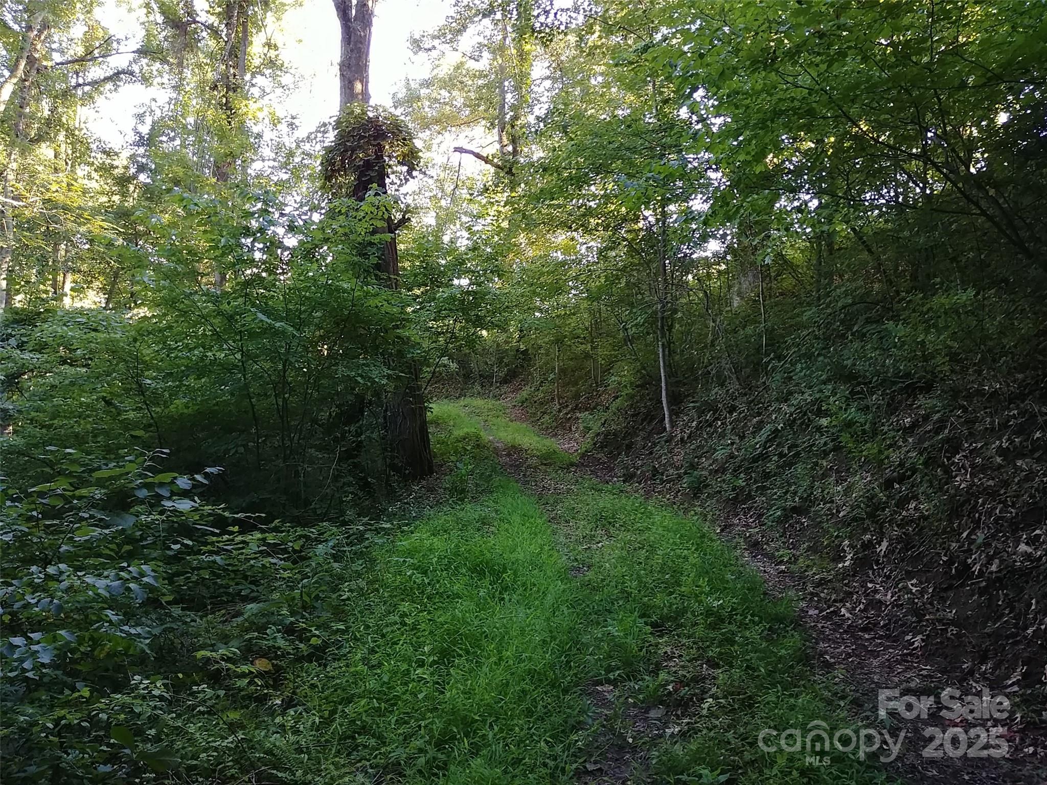 2100 Chambers Mountain Road