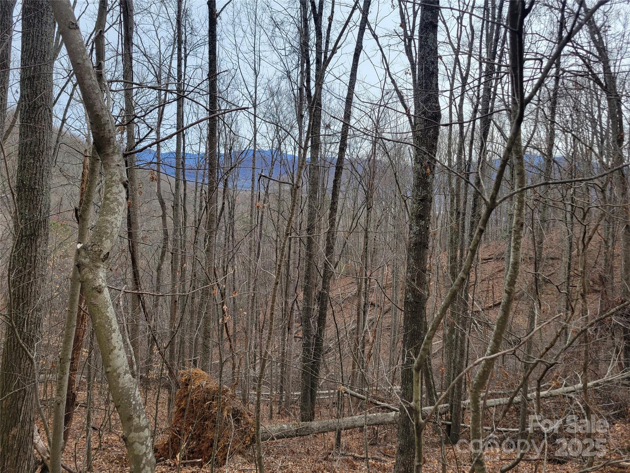2100 Chambers Mountain Road