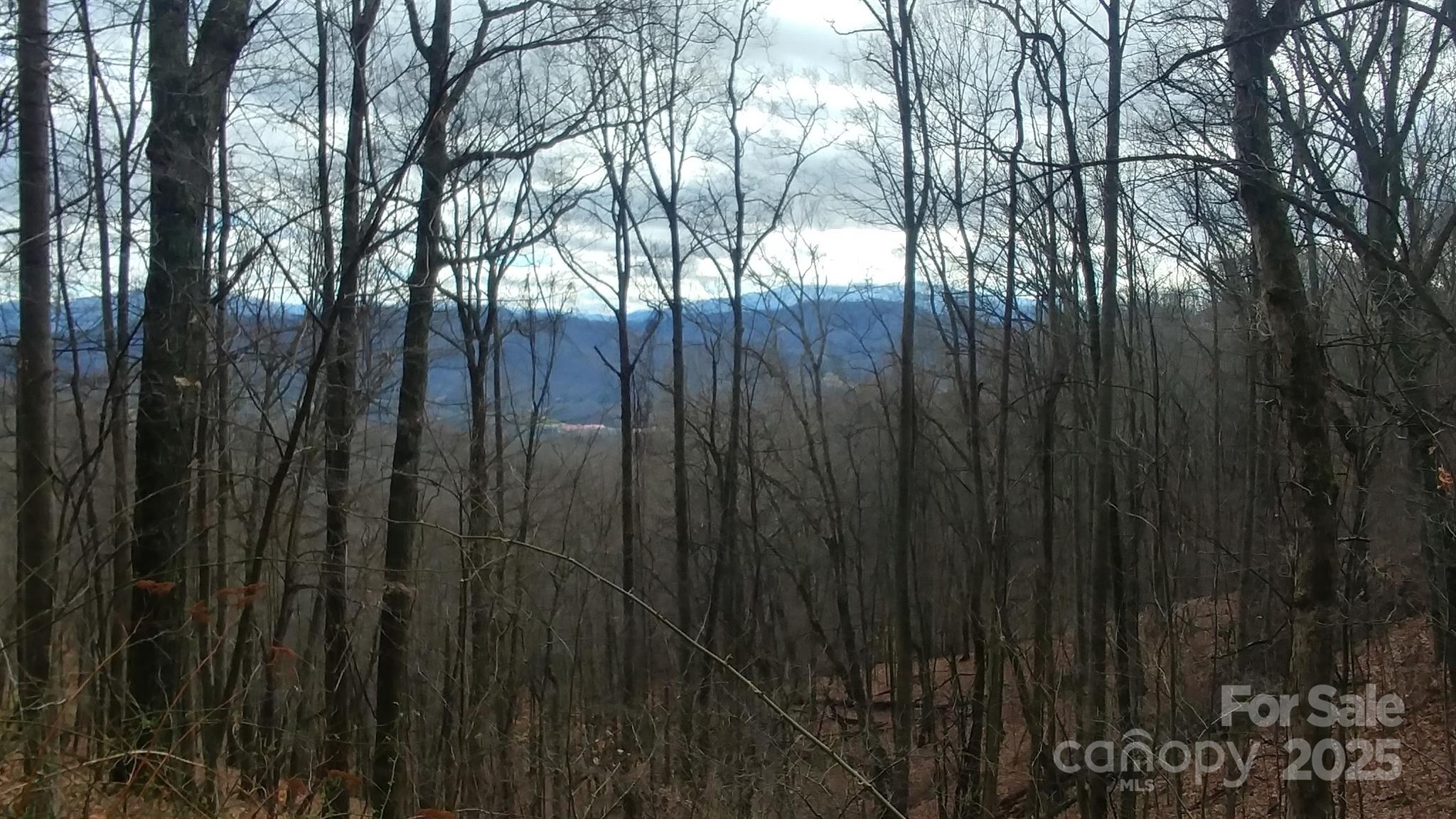 2100 Chambers Mountain Road