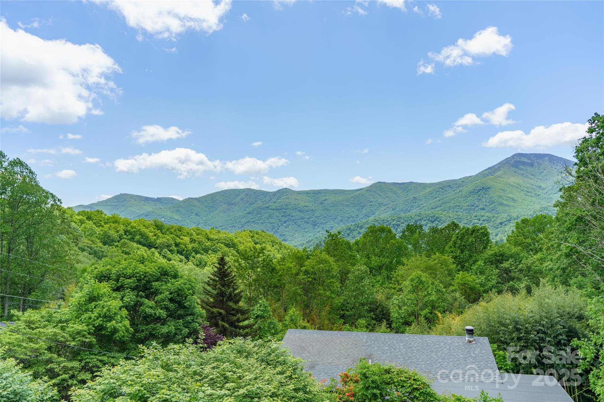 90 Eagles Nest Lane