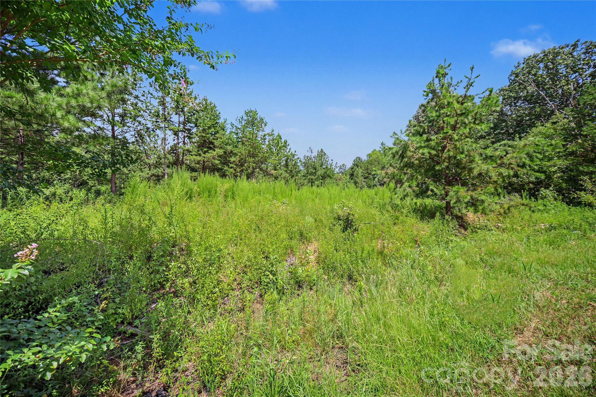2410 Simfield Church Road