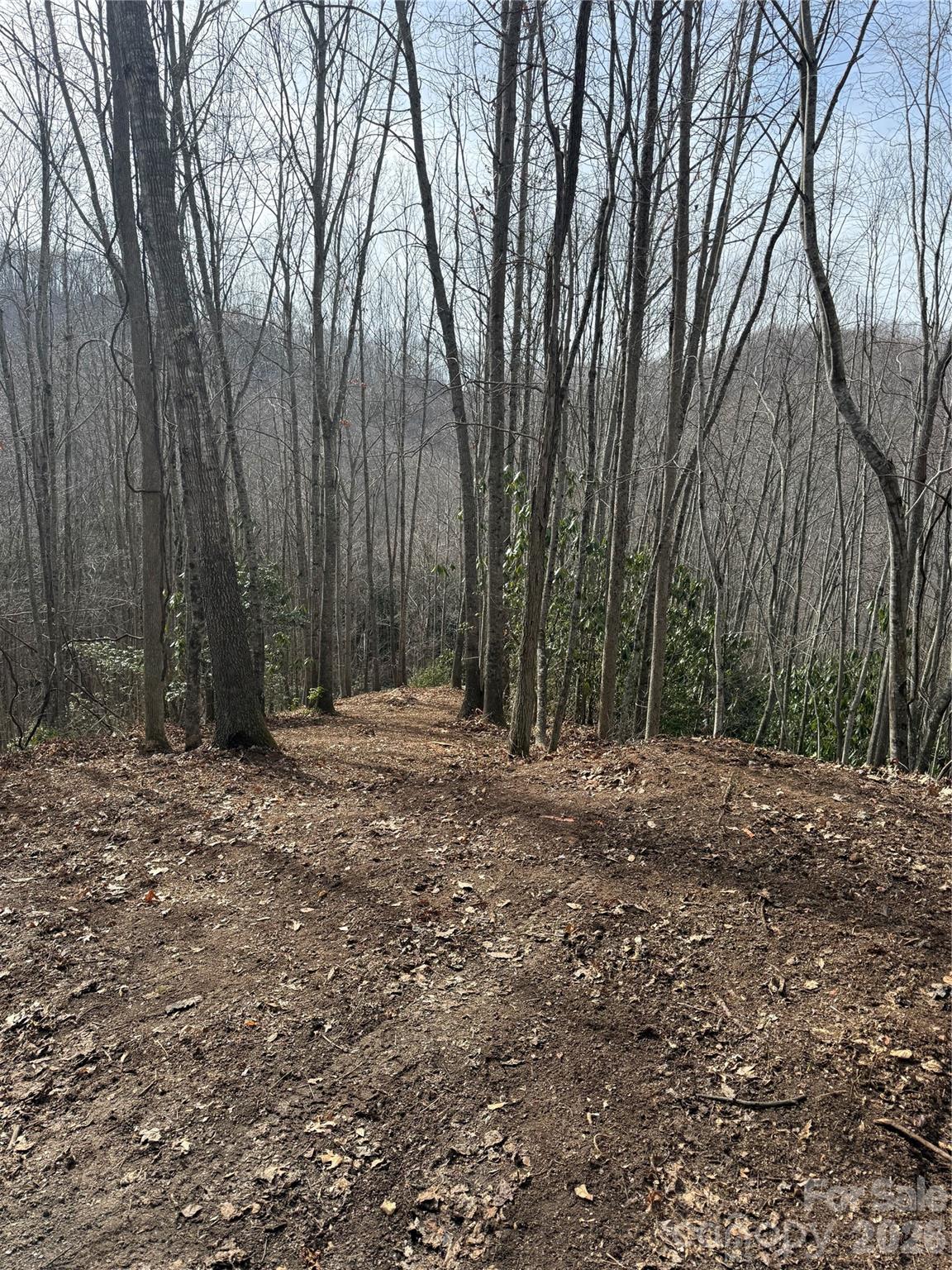Balsam Mountain Preserve - Land