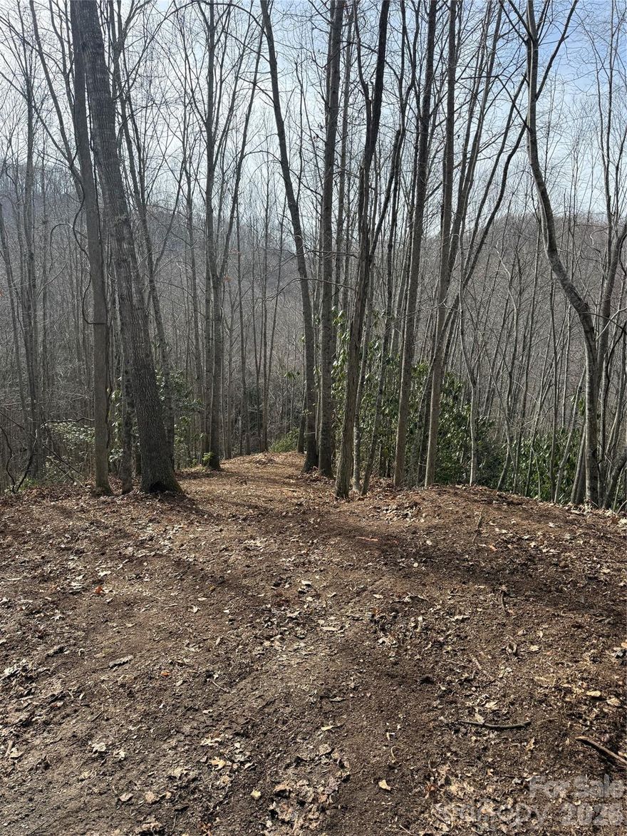 Nestled in the heart of nature, this lot offers the perfect blend of serenity and tranquility. The property boasts gentle topography with gorgeous views of the woods. Just out your door, you have access to miles of trails that lead you down to Balsam's private camp ground. This homestead sits just below 3,500 feet in elevation, making it a wonderful escape from the summer heat. Balsam Mountain Preserve is a private 4,400-acre club community with 3,200 acres of conservation land and completed amenities featuring golf, equestrian, scenic trails, tennis and dining. The stunning new facilities at Doubletop Village, including the Summit House Restaurant and Mine Tavern, are now open to members and their guests.