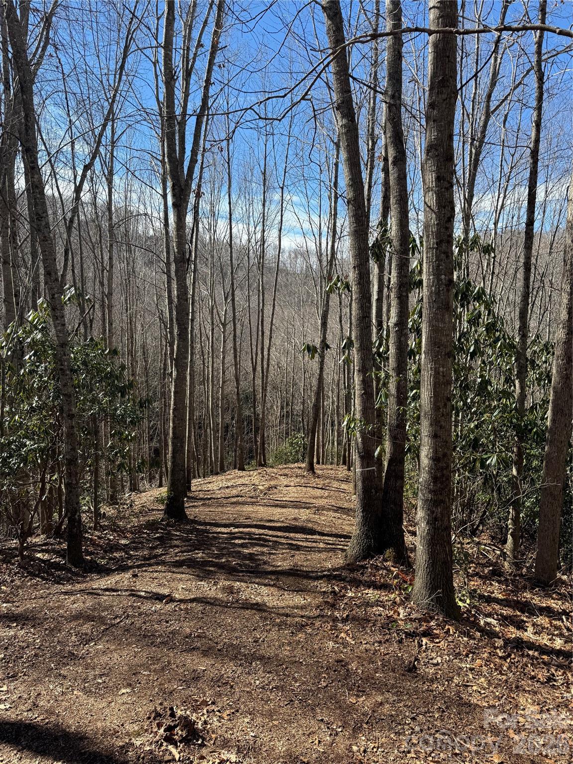 Balsam Mountain Preserve - Land