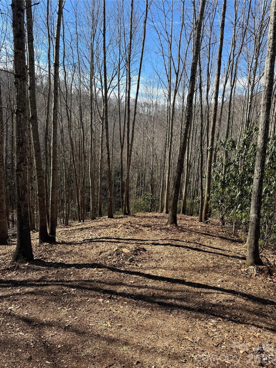Balsam Mountain Preserve - Land