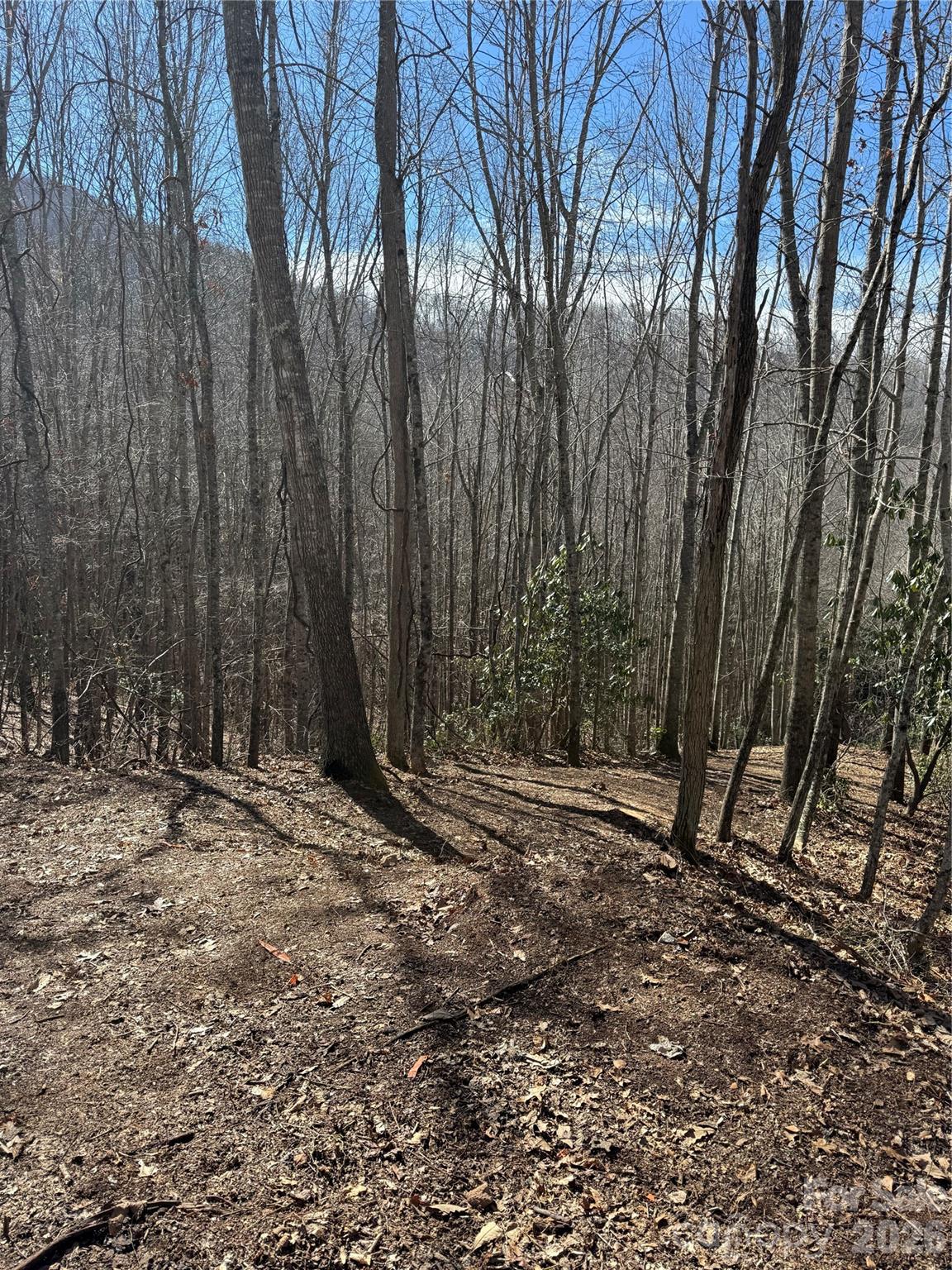 Balsam Mountain Preserve - Land