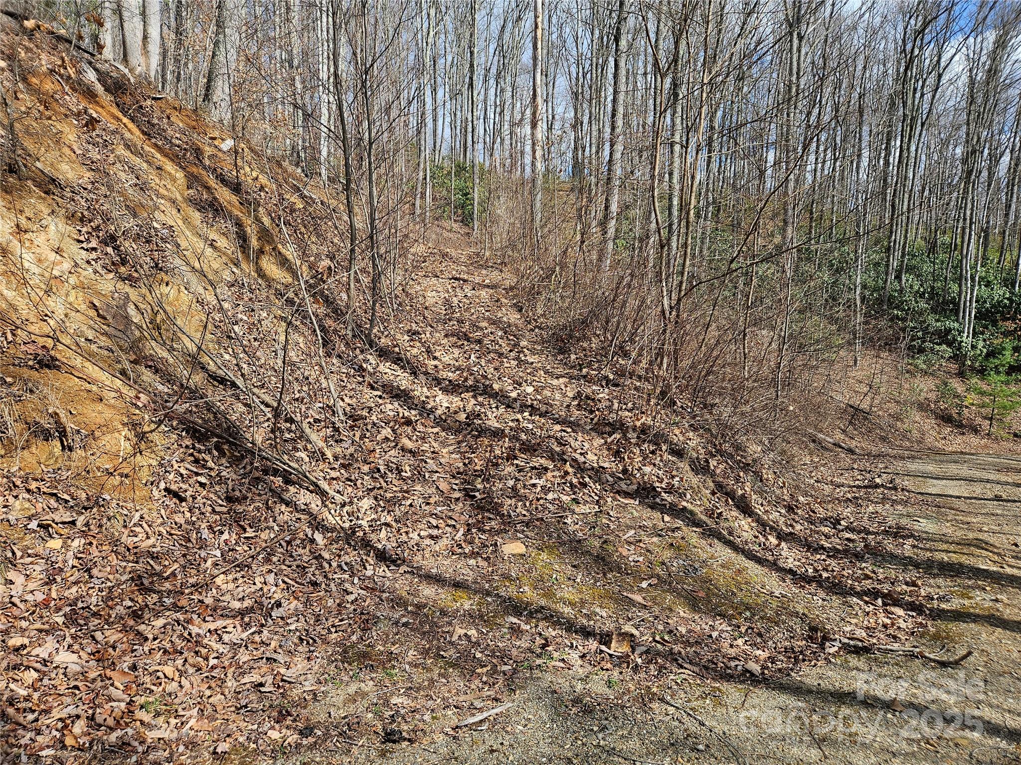 00 Wolverine Court 48