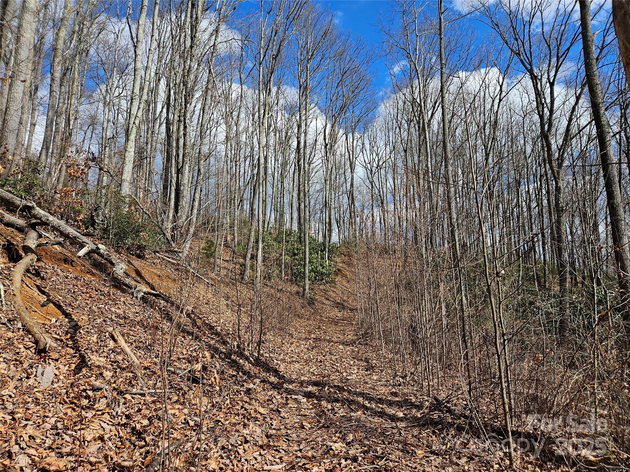 00 Wolverine Court 48