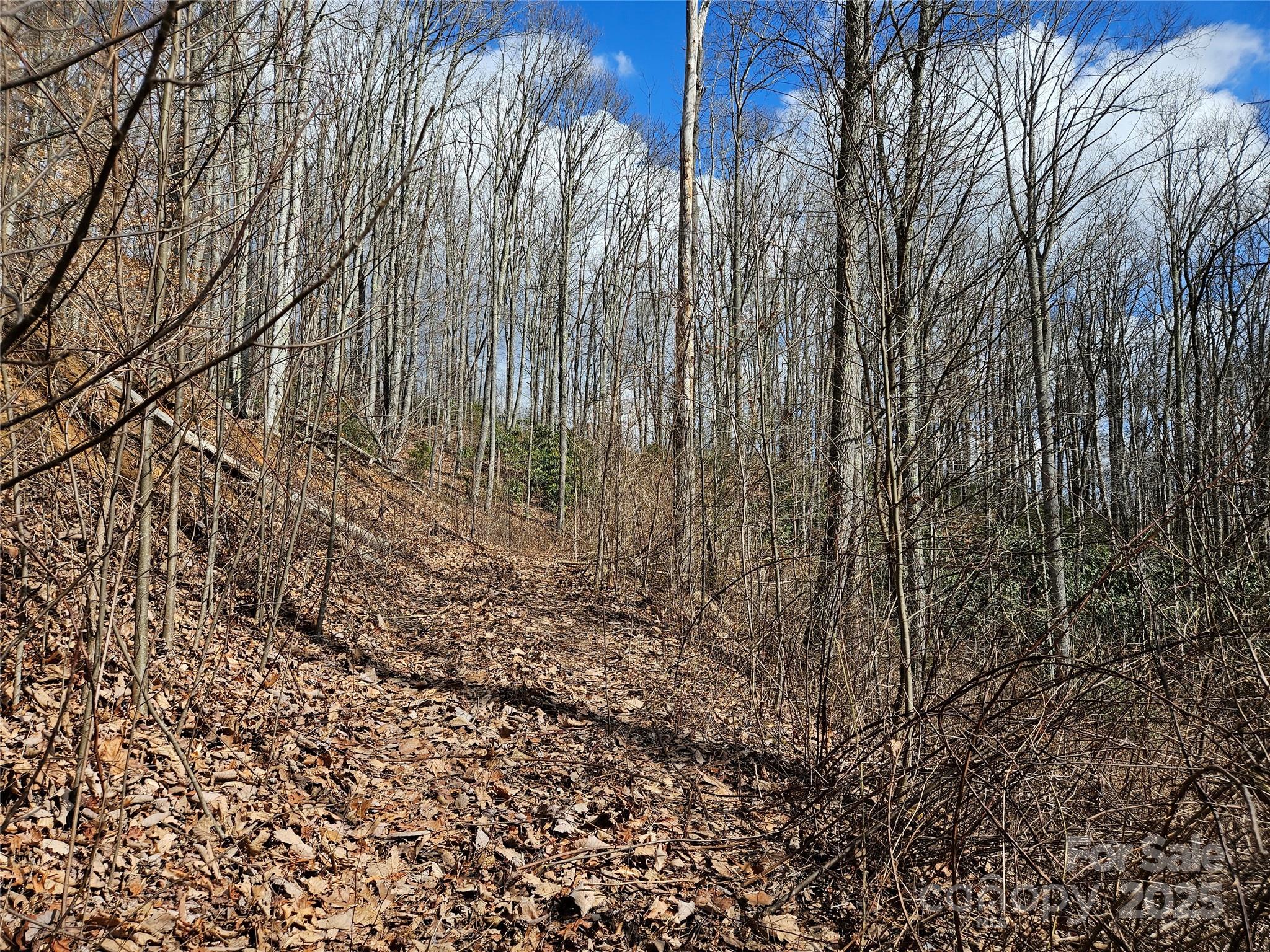 00 Wolverine Court 48