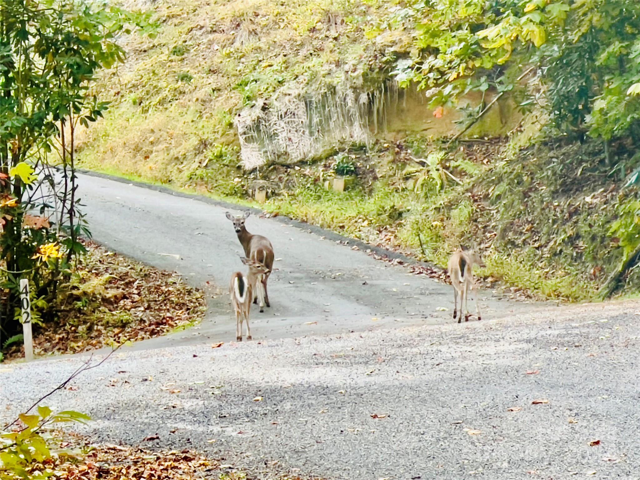 Hearthstone - Residential