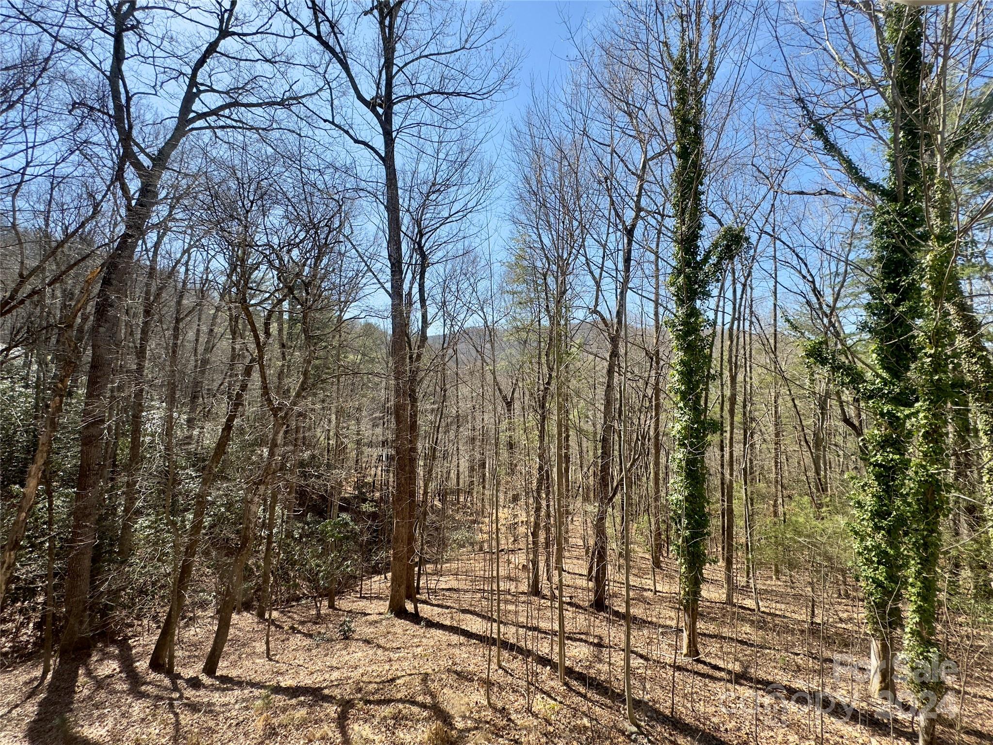 Hearthstone - Residential