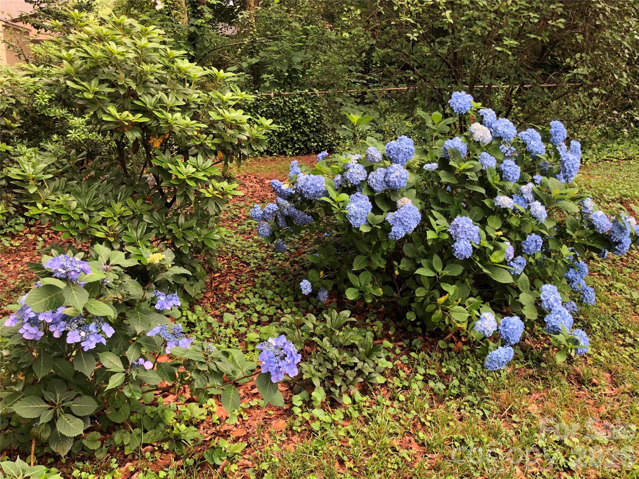 Green Valley - Residential