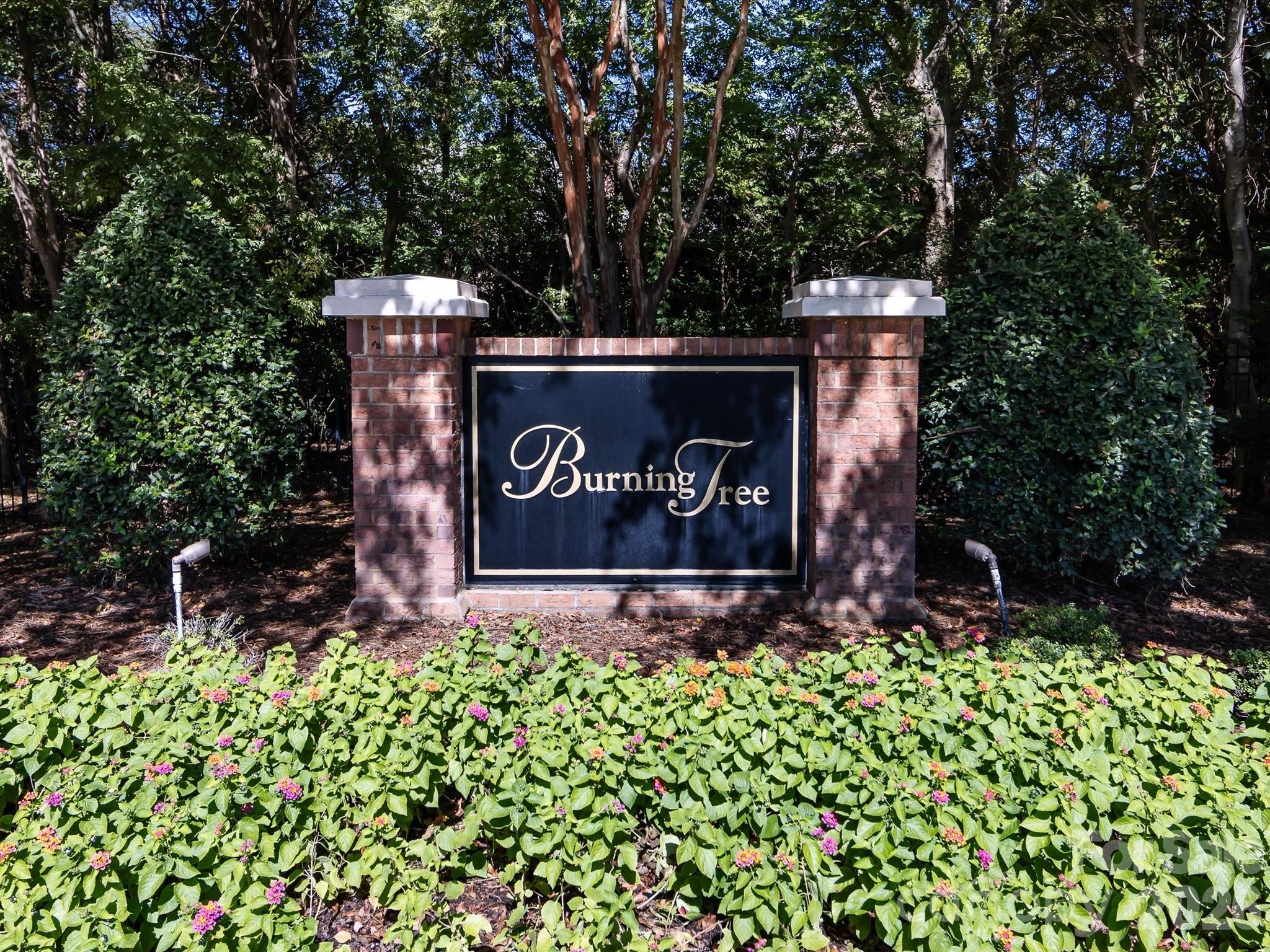 Burning Tree - Residential