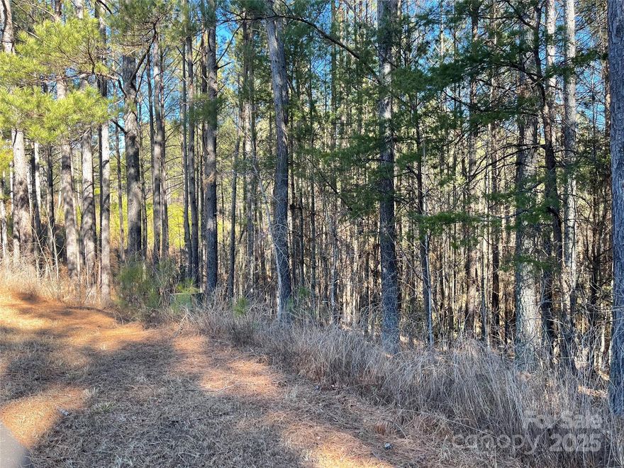 Gorgeous sloping lot with mature hardwoods and pines. This lot is located in the Settings of Lake Rhodhiss. The
development entrance is gated and maintained with security cameras 24/7. Great location to build and enjoy many outdoor activities in all seasons. The neighborhood has a shared common area that includes gathering tables, viewing platforms, outdoor gas grills, sinks with running water and even a bathroom. This area also has a paved parking lot with ample parking for added guest. Wonderful views await you here, including views of the nearby lake along with long range mountain views. Location is conveniently located to nearby towns and main highways both in and out of the area.