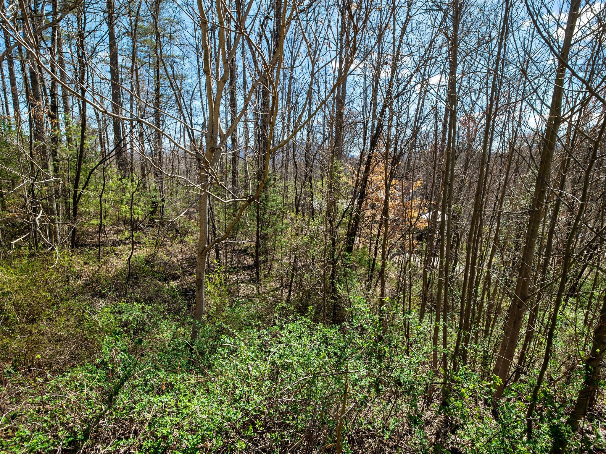 Beaucatcher Heights - Land