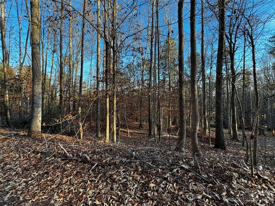 The Summit at Lake Norman. 3 lots side by side for sale separately in this beautiful Lake Norman LAKE ACCESS community. See 435 and 427 Hopewell Church Rd also. No manufactured or Modulars allowed. Bring your own builder. Nice pic nick area with kayak and boat launch area. Beachy Lake Access just a short stroll away. Public boat launch and storage available in the area too. Well maintained  Boat launch & Storage just minutes away. Come build your Beautiful home Here! Seller says this has been perked years ago approx. 1999. Power at the curb. Near Long Island Marina Public access. Possible Paddle Board storage near the community launch area. I have a builder that can give you a quote on how much to build your dream home. 3 lots available next to each other. I have a builder that can possibly build a 1400-1500 SQFT home on each lot after perk verified starting at $320k. Each lot has pink survey strips. See NEW Soil Reports and Evaluations in attachments 2/24