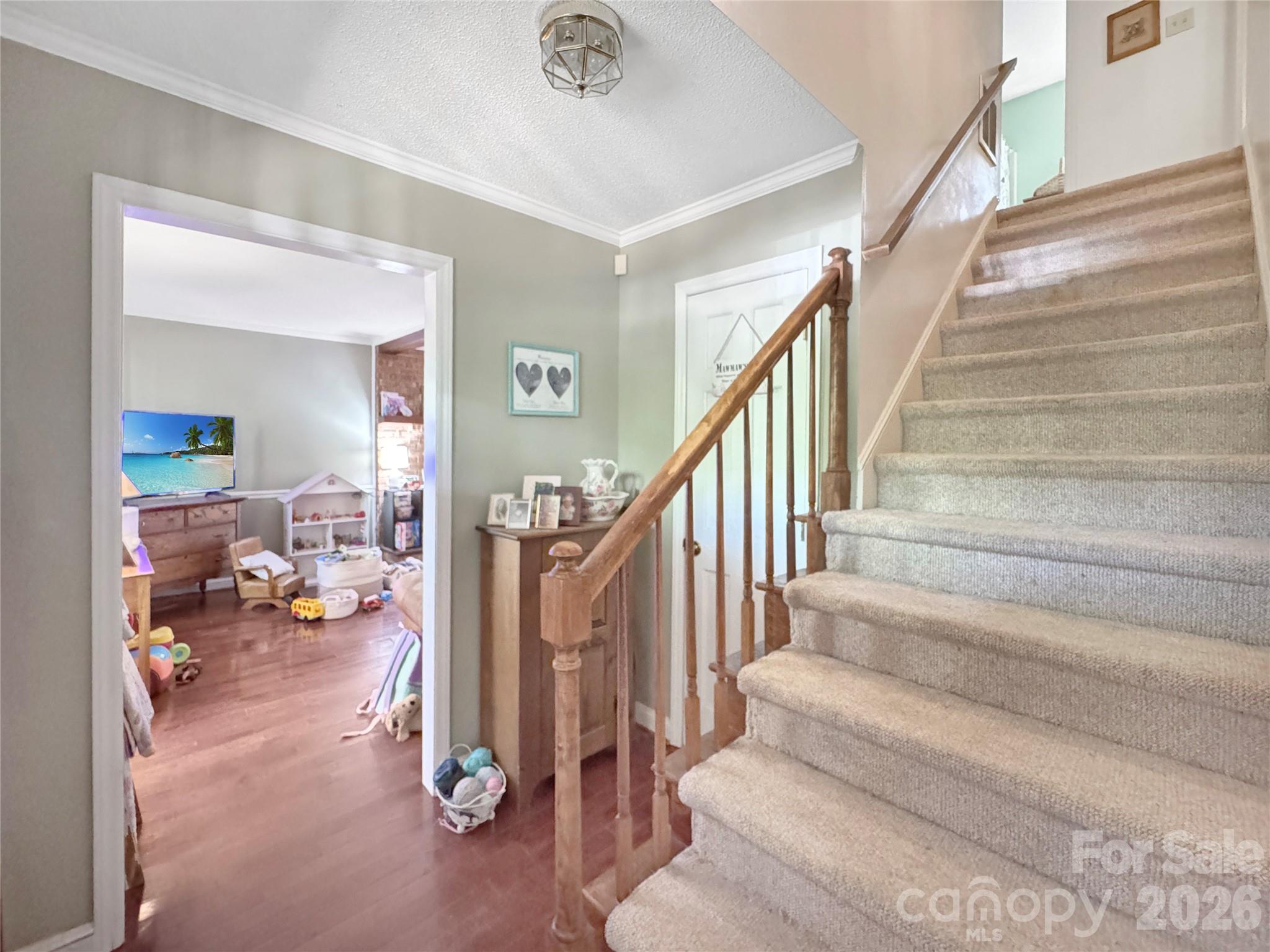 Steeplechase - Residential