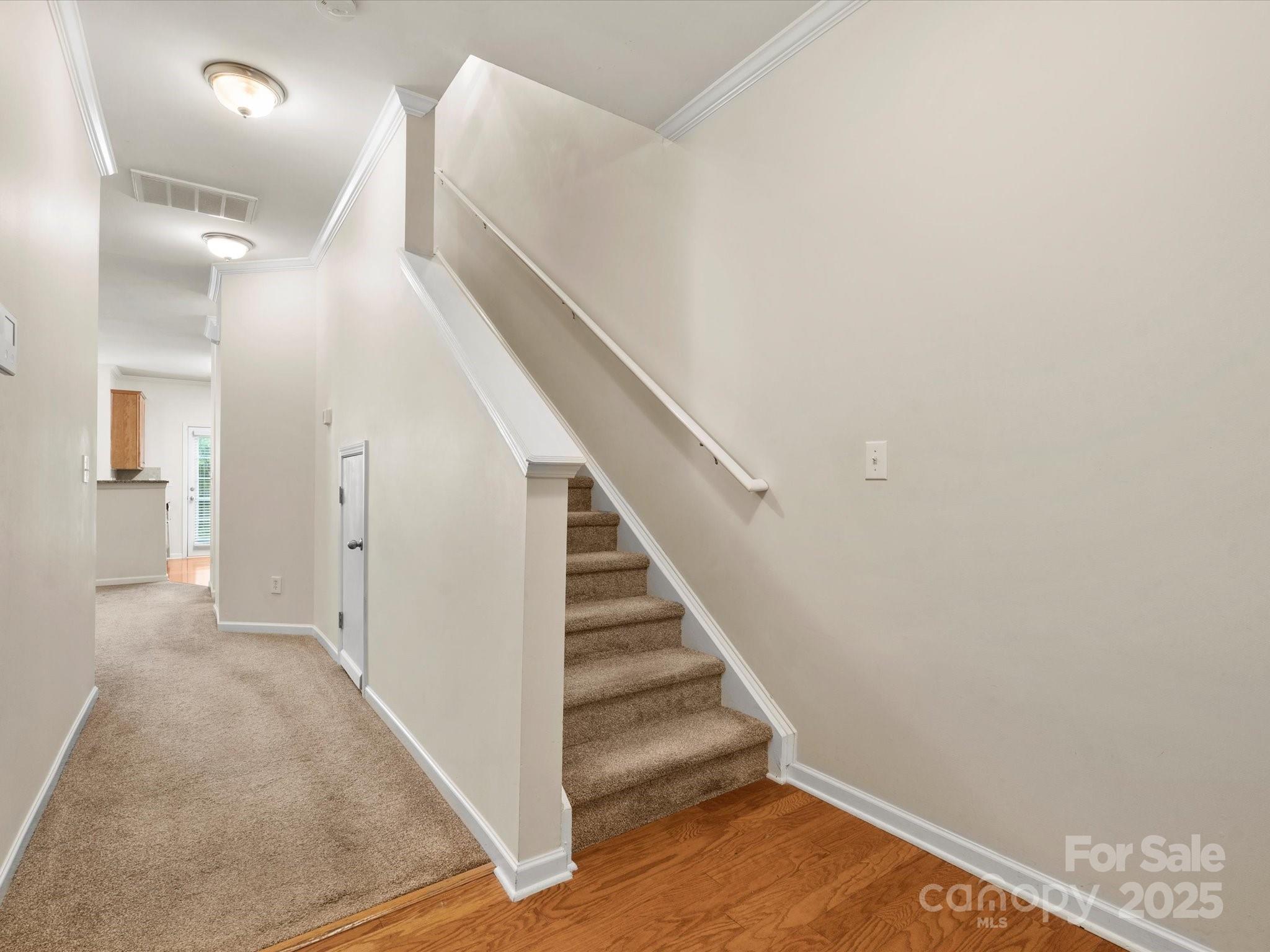 2137 Midnight Blue Lane