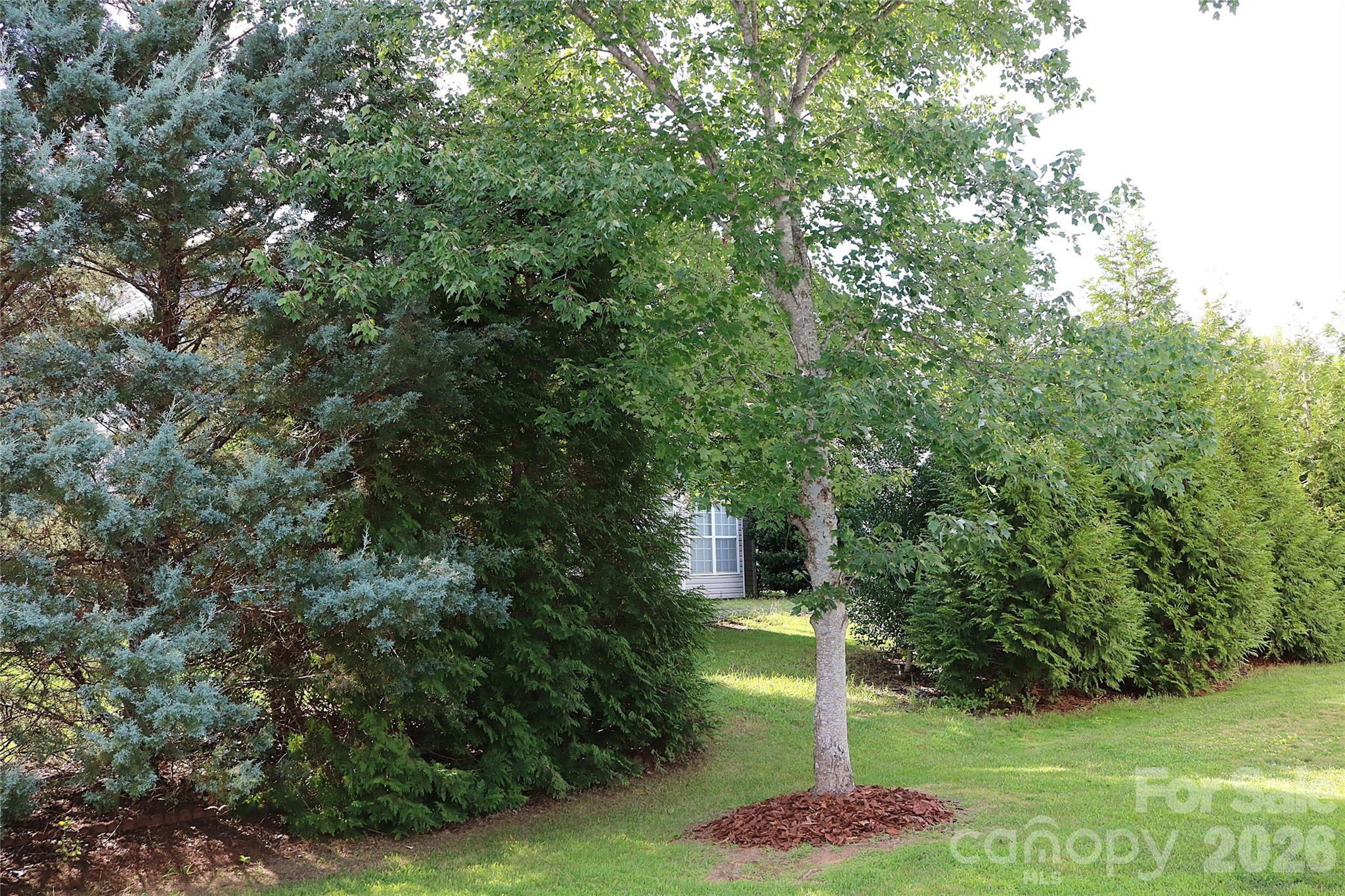 4409 Squirrel Trail Lane