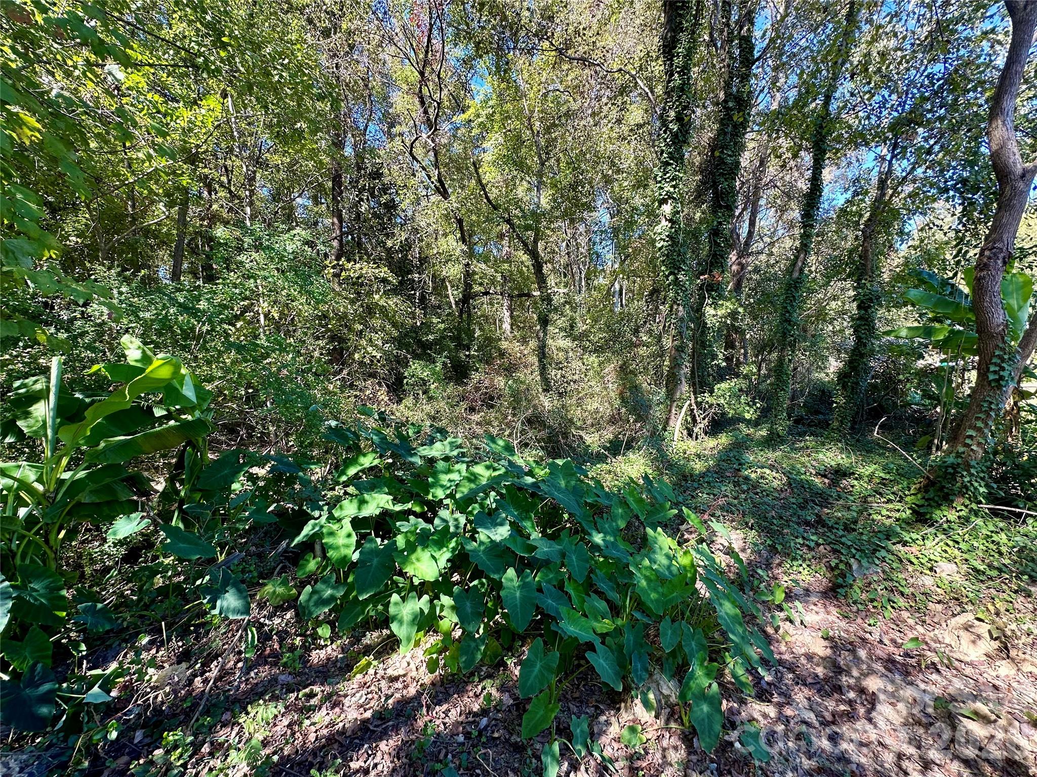 306 West Avenue Lot B & C