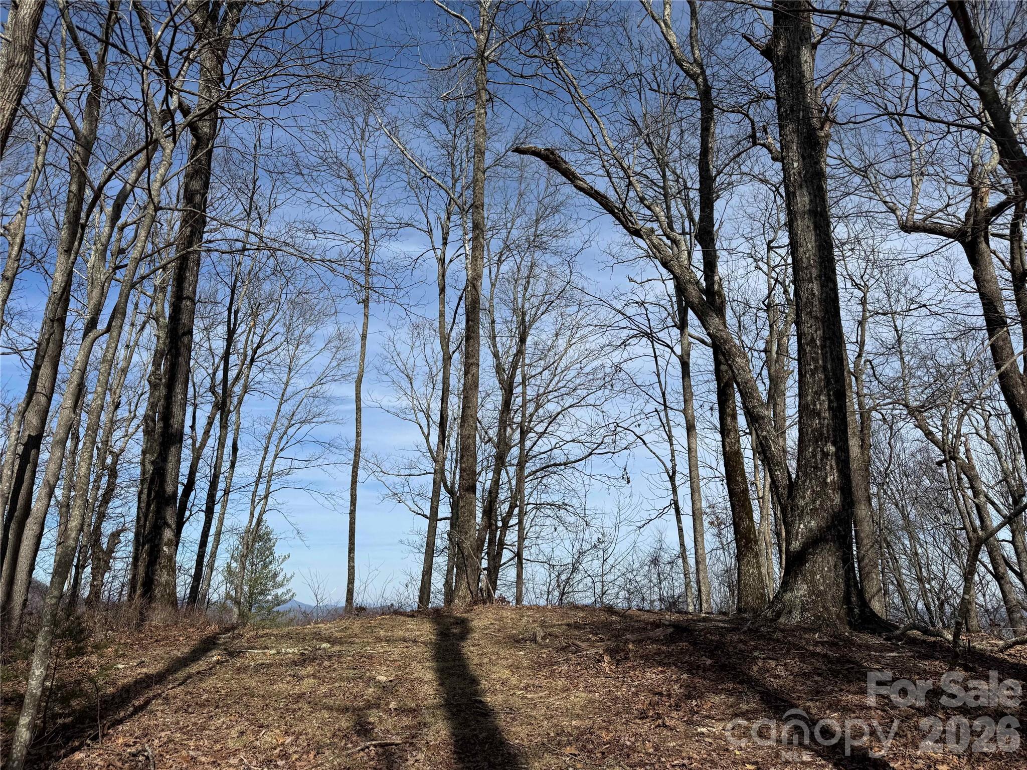 L4 Windy Gap Lane