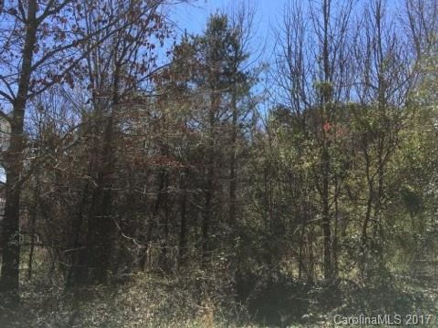 Build your dream home in an ideal location. This lot is placed perfectly between Lincolnton and Denver and only 45 min. to Charlotte. North Lincoln School district. County water tap already in place. This desirable street only has two lots remaining.
