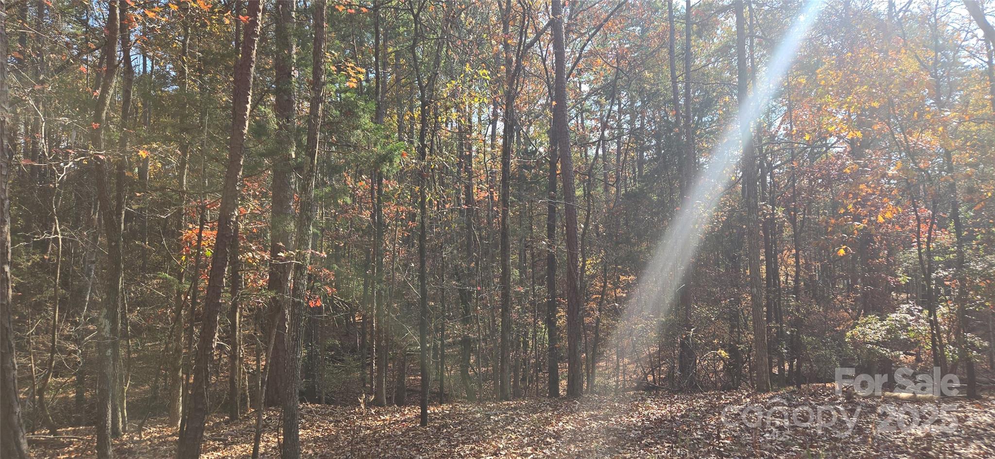 4151 Concord Road 12