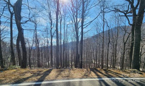 47 Wedgewood Terrace 1201 Black Mountain NC 28711